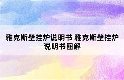 雅克斯壁挂炉说明书 雅克斯壁挂炉说明书图解